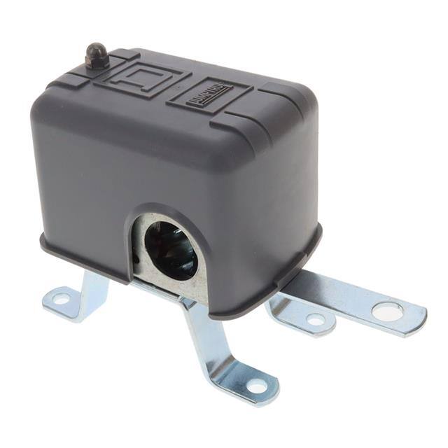 9036DG2C Schneider Electric  Sensori di livello a galleggiante - Industriali